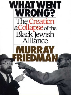 cover image of What Went Wrong?